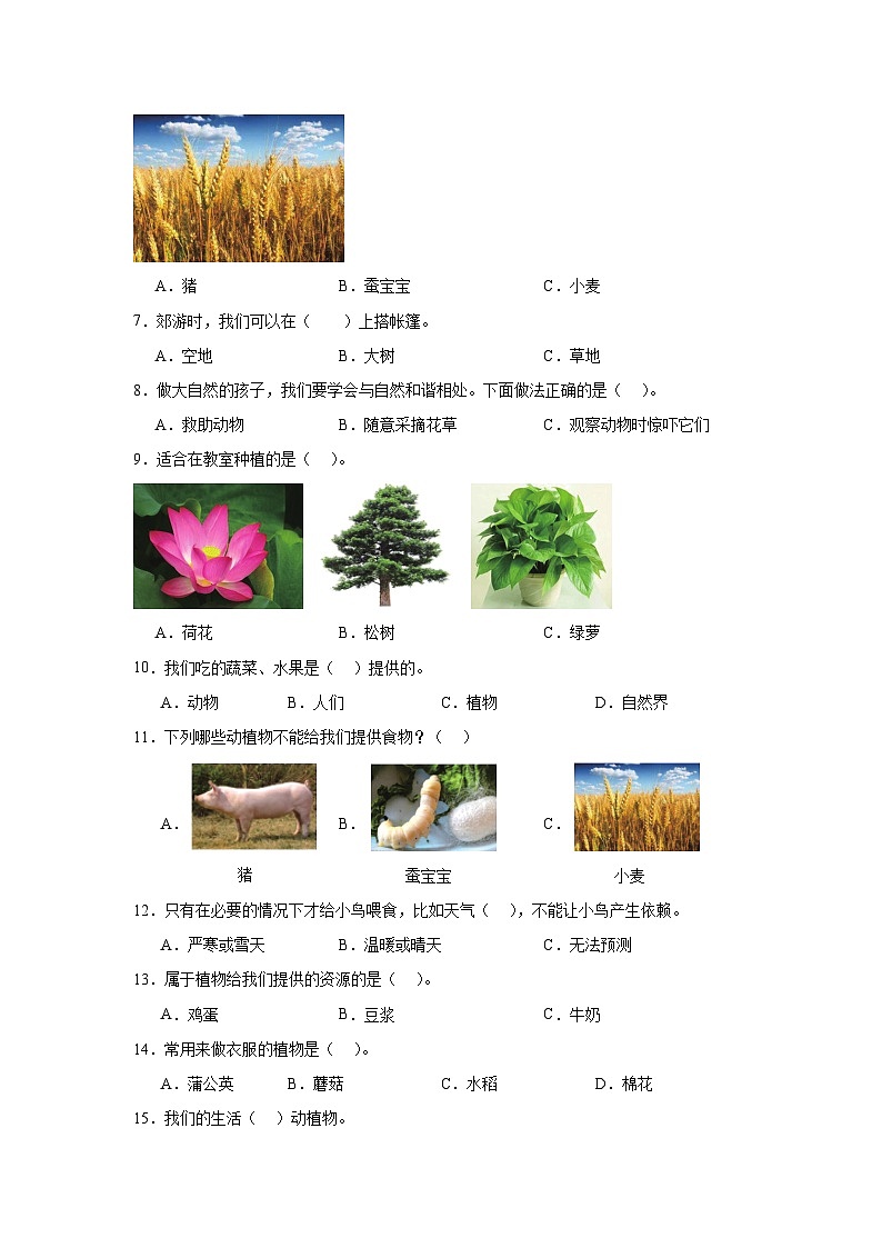 7.《做大自然的孩子》作业02
