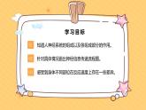 苏教版科学五年级上册 第18课  从刺激到反应 教学课件+同步教案+同步练习