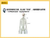 苏教版科学五年级上册 第19课  我们的大脑 教学课件+同步教案+同步练习