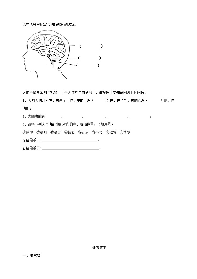 苏教版科学五年级上册 第19课 我们的大脑 (同步练习)第2页