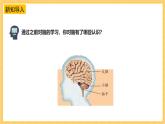 苏教版科学五年级上册 第20课 大脑的开发与利用 教学课件+同步教案+同步练习