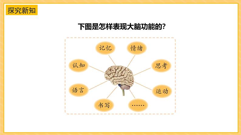 苏教版科学五年级上册 第20课 大脑的开发与利用 教学课件+同步教案+同步练习08