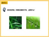 苏教版科学五年级上册 第14课 霜和露 教学课件+同步教案+同步练习