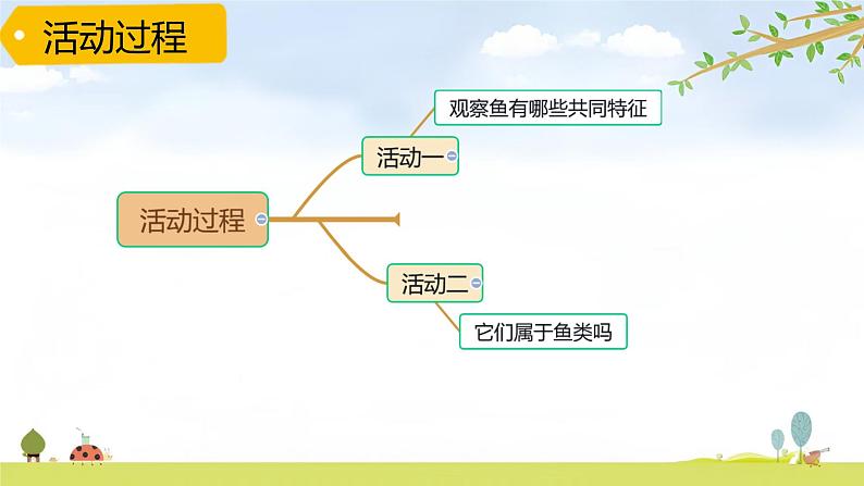 青岛版六三制科学四上第一单元第2课《鱼》PPT课件03