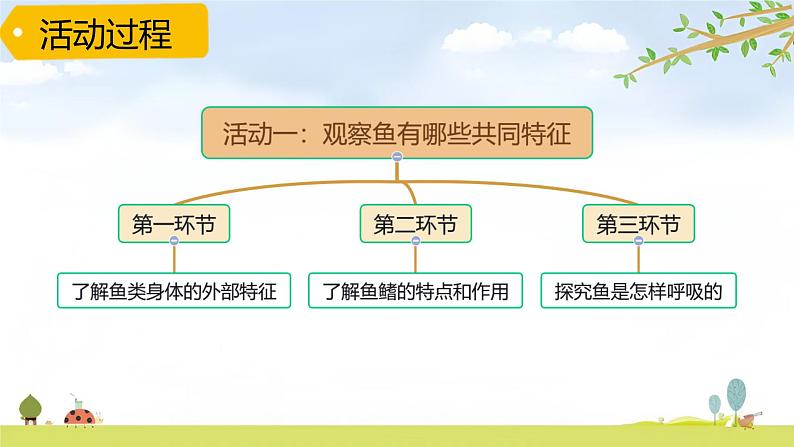 青岛版六三制科学四上第一单元第2课《鱼》PPT课件04