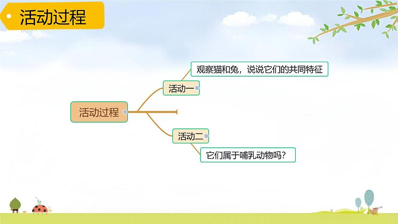 青岛版六三制科学四上第一单元第4课 《哺乳动物》PPT课件第3页