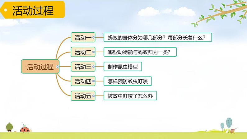 青岛版六三制科学四上第一单元第1课《蚂蚁》PPT课件03