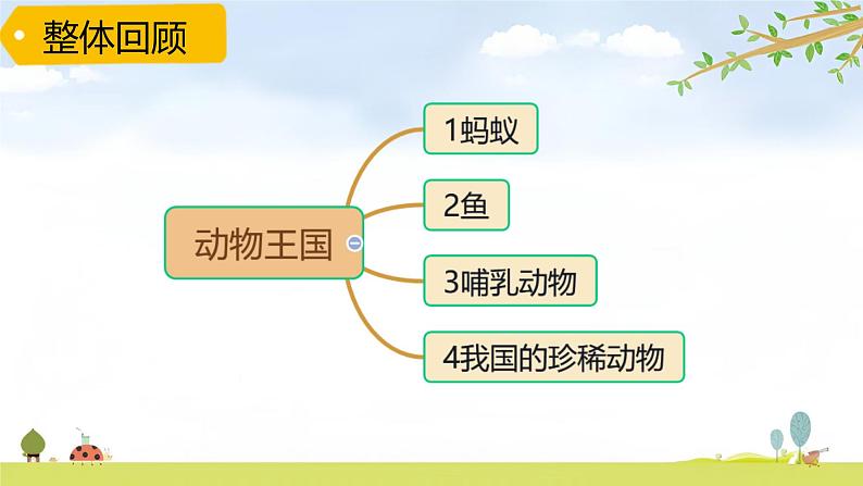 青岛版六三制科学四上第一单元《动物王国》复习PPT课件（含习题）02