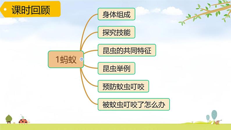 青岛版六三制科学四上第一单元《动物王国》复习PPT课件（含习题）03