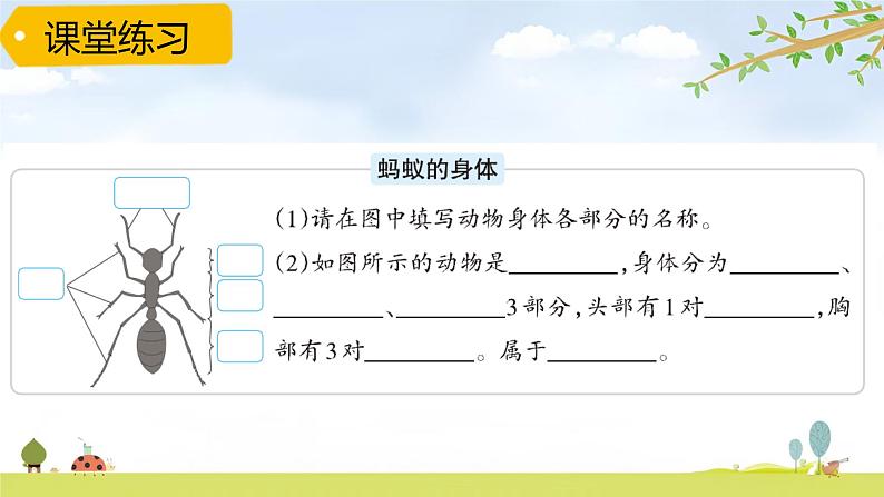 青岛版六三制科学四上第一单元《动物王国》复习PPT课件（含习题）04