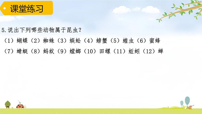 青岛版六三制科学四上第一单元《动物王国》复习PPT课件（含习题）06