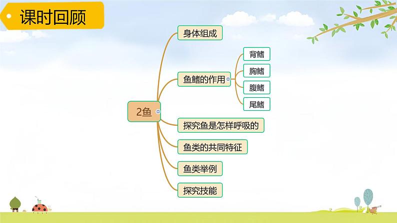 青岛版六三制科学四上第一单元《动物王国》复习PPT课件（含习题）07