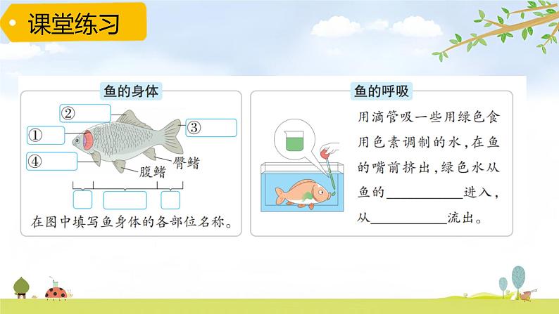 青岛版六三制科学四上第一单元《动物王国》复习PPT课件（含习题）08