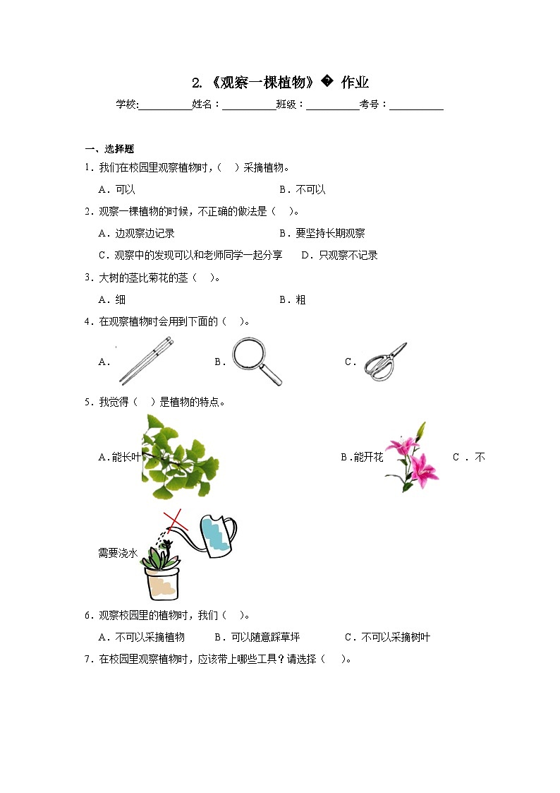 2.《观察一棵植物》作业第1页