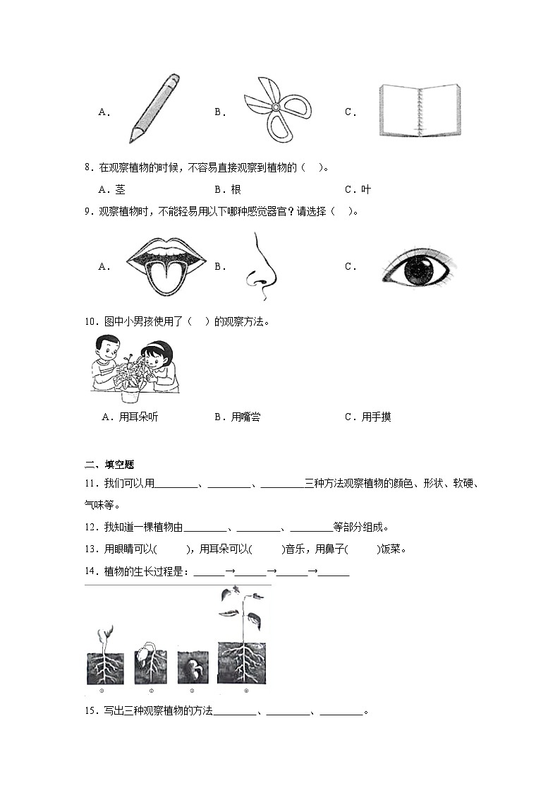 2.《观察一棵植物》作业第2页