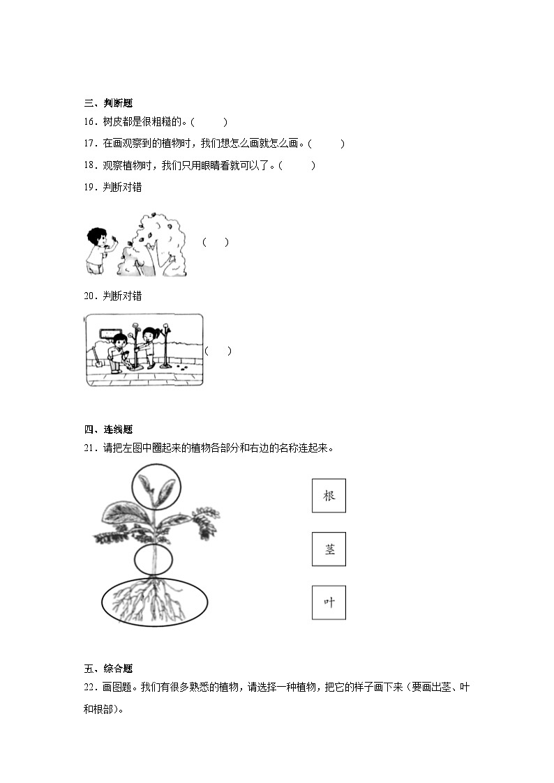 2.《观察一棵植物》作业第3页