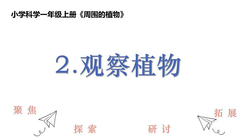 教科版1上科学第1单元第2课《观察植物》课件01