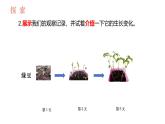 教科版1上科学第1单元第5课《植物的变化》课件
