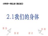 教科版1上科学第2单元第1课《我们的身体》课件