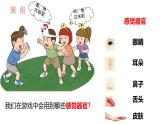 教科版1上科学第2单元第3课《游戏中的观察》课件