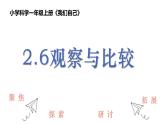 教科版1上科学第2单元第6课《观察与比较》课件
