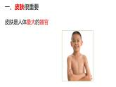 教科版1上科学第2单元《我们自己》科学阅读课件