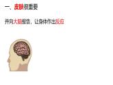 教科版1上科学第2单元《我们自己》科学阅读课件