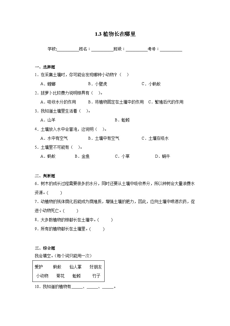 【核心素养】教科版小学科学一上+1.3《植物长在哪里》课件+教案+练习（含答案）01