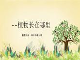 【核心素养】教科版小学科学一上+1.3《植物长在哪里》课件+教案+练习（含答案）
