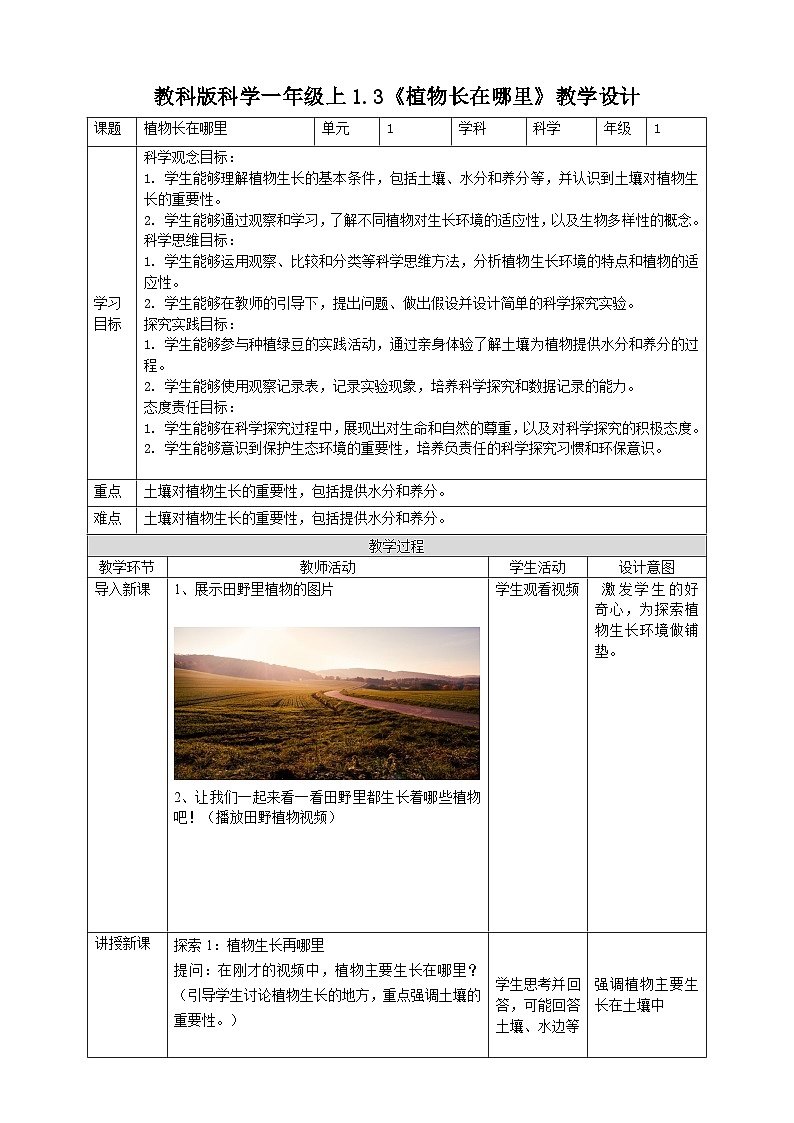【核心素养】教科版小学科学一上+1.3《植物长在哪里》课件+教案+练习（含答案）01