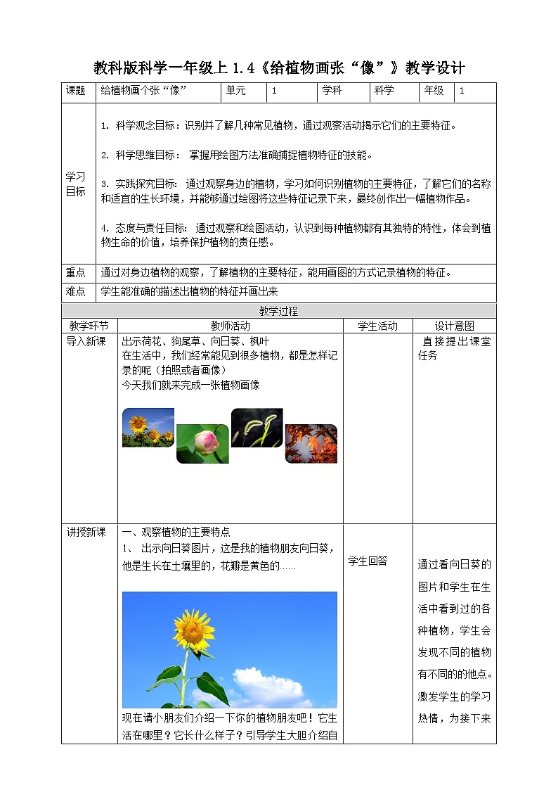 【核心素养】教科版小学科学一上+1.4《给植物画张“像”》课件+教案+练习（含答案）01