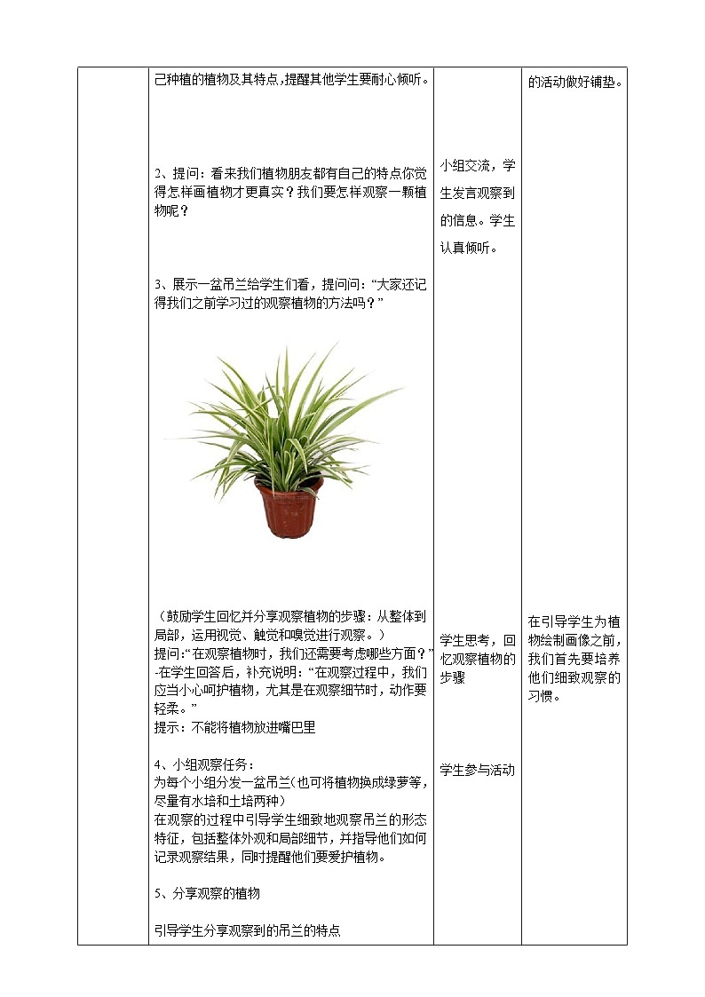 【核心素养】教科版小学科学一上+1.4《给植物画张“像”》课件+教案+练习（含答案）02