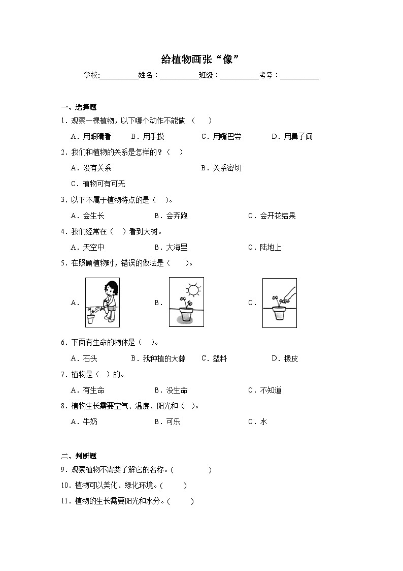 【核心素养】教科版小学科学一上+1.4《给植物画张“像”》课件+教案+练习（含答案）01