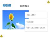 【核心素养】教科版小学科学一上+1.4《给植物画张“像”》课件+教案+练习（含答案）