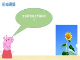 【核心素养】教科版小学科学一上+1.4《给植物画张“像”》课件+教案+练习（含答案）
