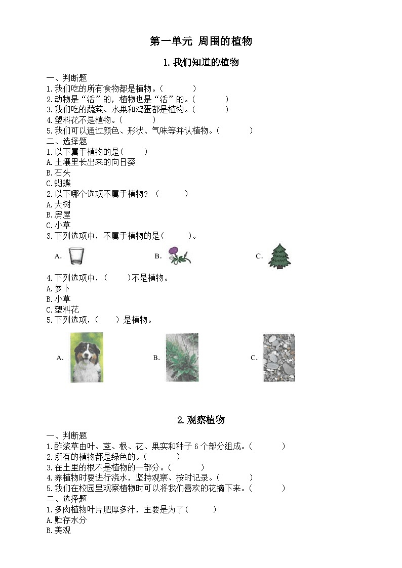 小学科学新教科版一年级上册第一单元《周围的植物》课课练（附参考答案）（2024秋）第1页