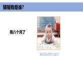 小學科學新教科版一年級上冊第二單元第2課《發(fā)現(xiàn)生長》教學課件（2024秋）