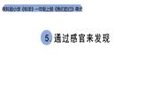 小学科学新教科版一年级上册第二单元第5课《通过感官来发现》教学课件（2024秋）
