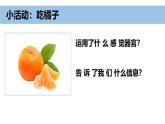 小学科学新教科版一年级上册第二单元第5课《通过感官来发现》教学课件（2024秋）