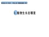 小学科学新教科版一年级上册第一单元第3课《植物长在哪里》教学课件（2024秋）