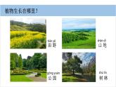 小学科学新教科版一年级上册第一单元第3课《植物长在哪里》教学课件（2024秋）