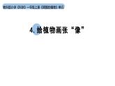 小學(xué)科學(xué)新教科版一年級(jí)上冊(cè)第一單元第4課《給植物畫張“像”》教學(xué)課件（2024秋）