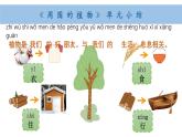 小學(xué)科學(xué)新教科版一年級(jí)上冊(cè)第一單元小結(jié)和科學(xué)閱讀教學(xué)課件（2024秋）