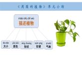 小學(xué)科學(xué)新教科版一年級(jí)上冊(cè)第一單元小結(jié)和科學(xué)閱讀教學(xué)課件（2024秋）