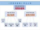 小學(xué)科學(xué)新教科版一年級(jí)上冊(cè)第一單元小結(jié)和科學(xué)閱讀教學(xué)課件（2024秋）