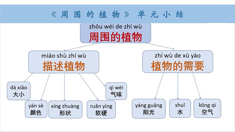 小学科学新教科版一年级上册第一单元小结和科学阅读教学课件（2024秋）05