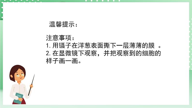 青岛版六三制（2017）科学六年级上册1.1《细胞》课件第8页