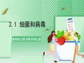 青岛版六三制（2017）科学六年级上册2.1 《细菌和病毒》课件