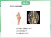 青岛版六三制（2017）科学六年级上册2.1 《细菌和病毒》课件