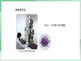 青岛版六三制（2017）科学六年级上册2.1 《细菌和病毒》课件